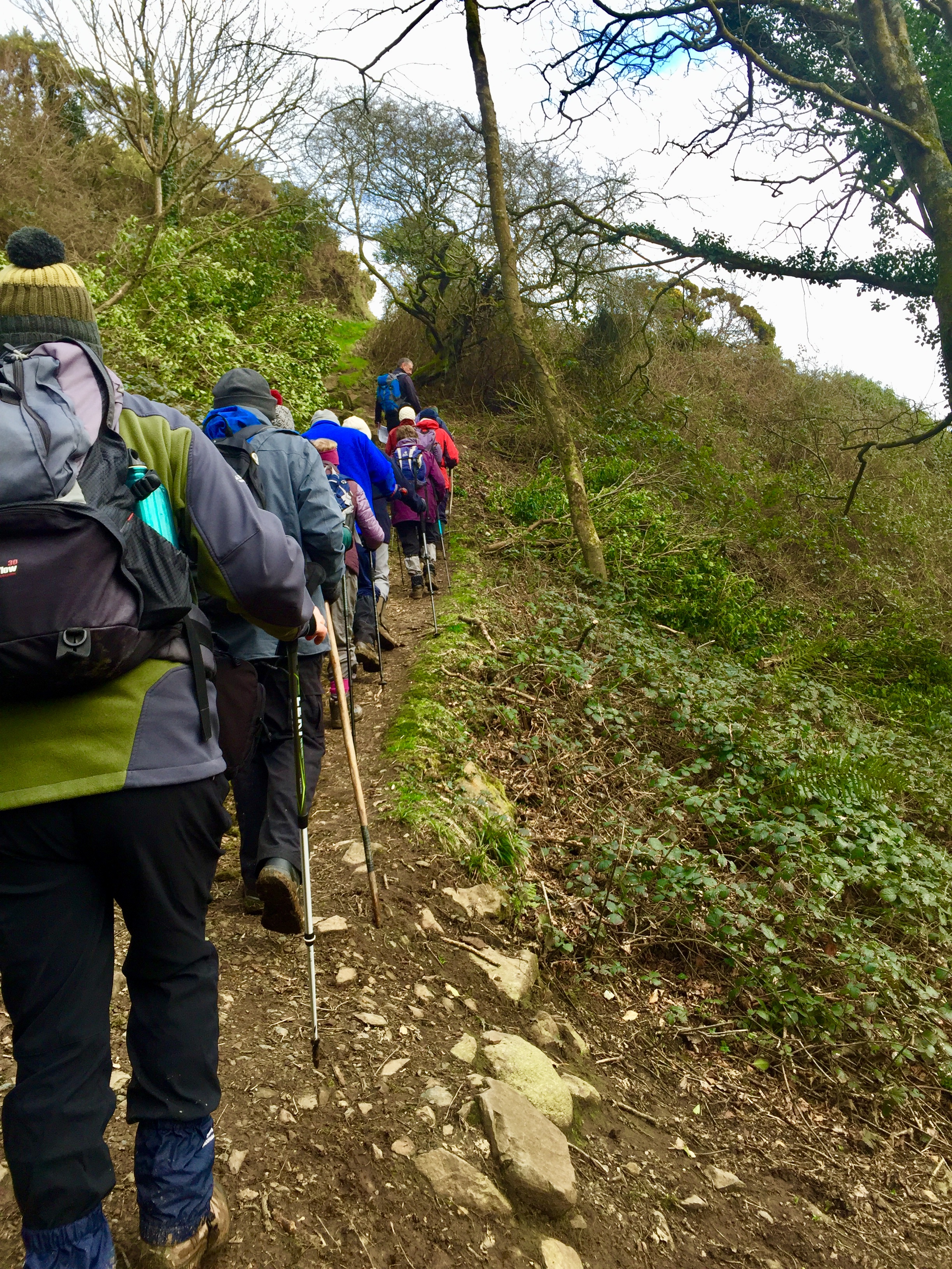 Pembrokeshire Guided Walks