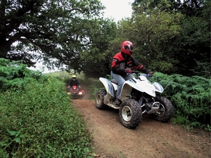 Ritec Valley Quad Bikes