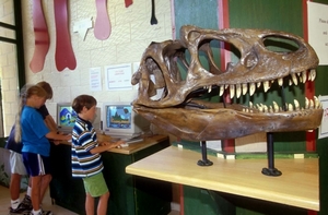 The Dinosaur Park