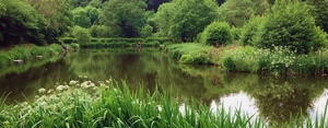 Ian Heaps Premier Coarse Fisheries
