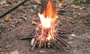 Buzzard Chris Bushcraft