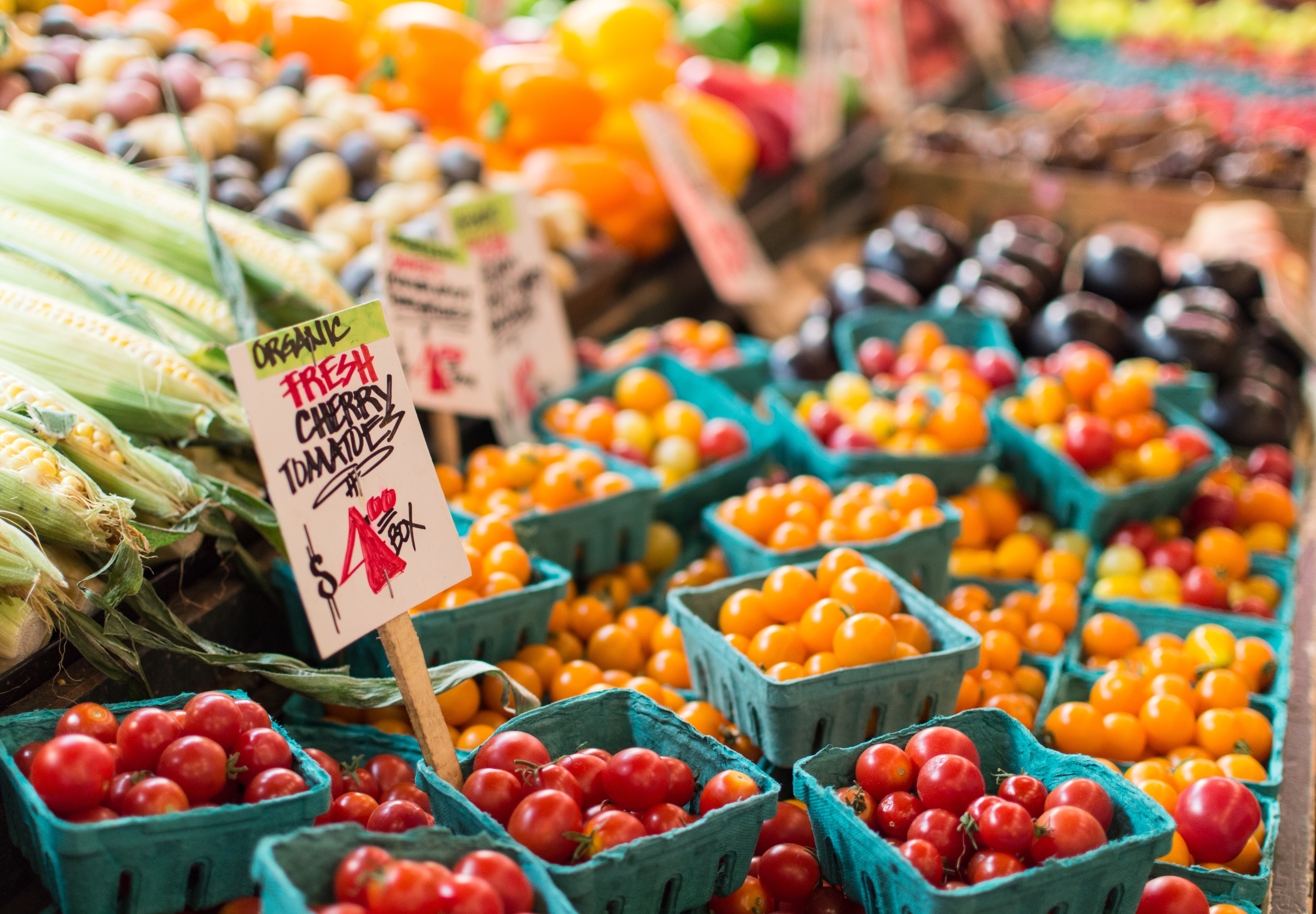 St Dogmaels Farmers Market