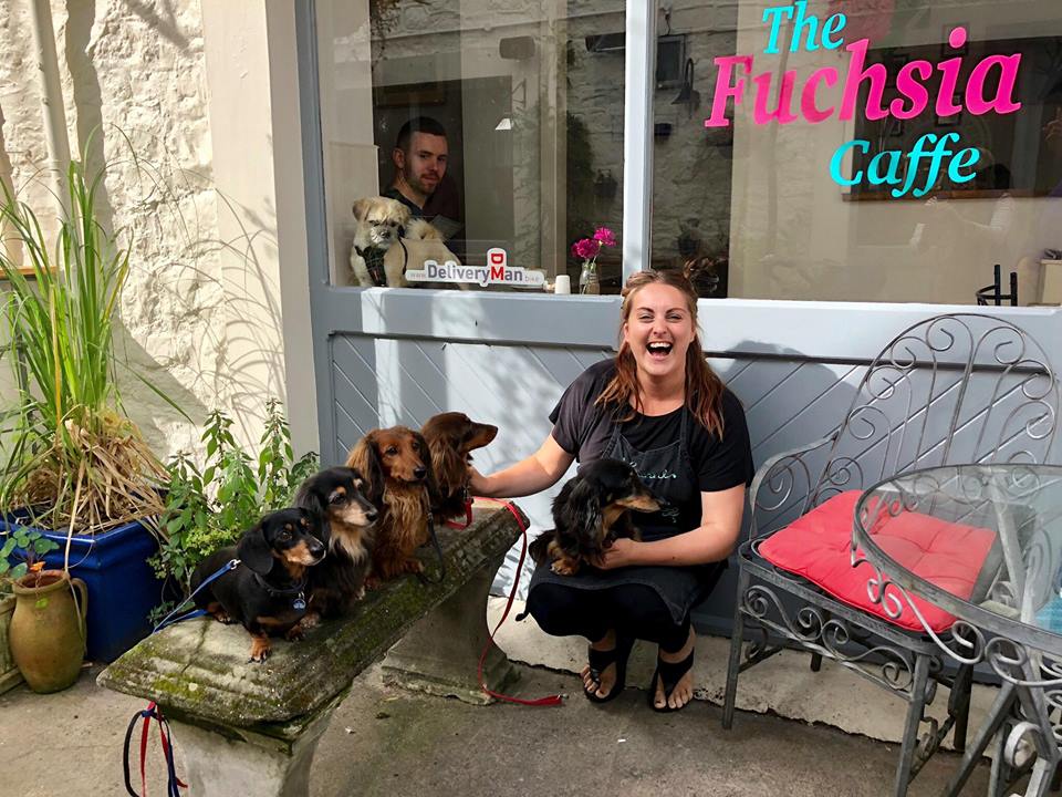 The Fuchsia Caffe