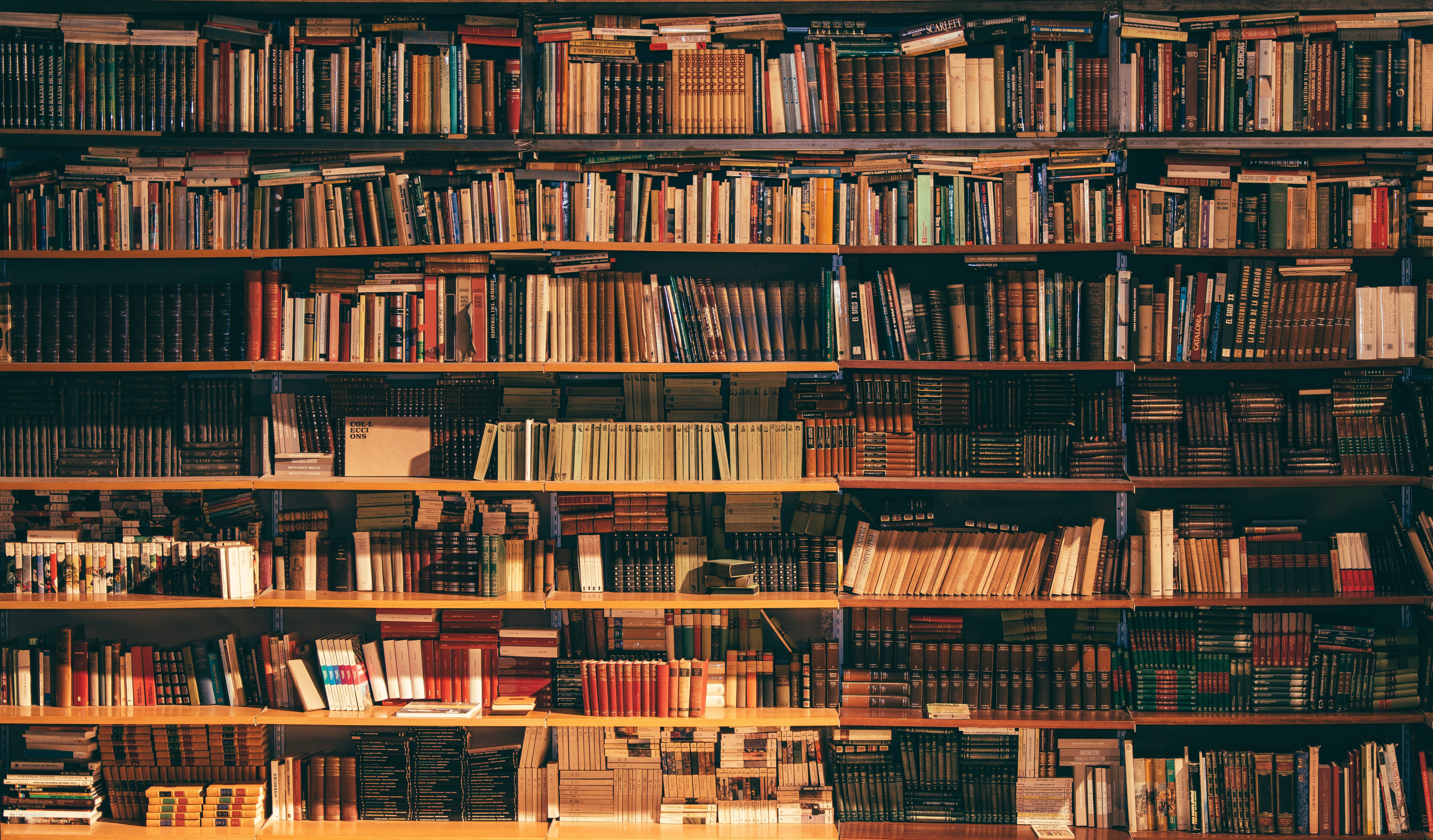 Pembrokeshire's Independent Bookshops