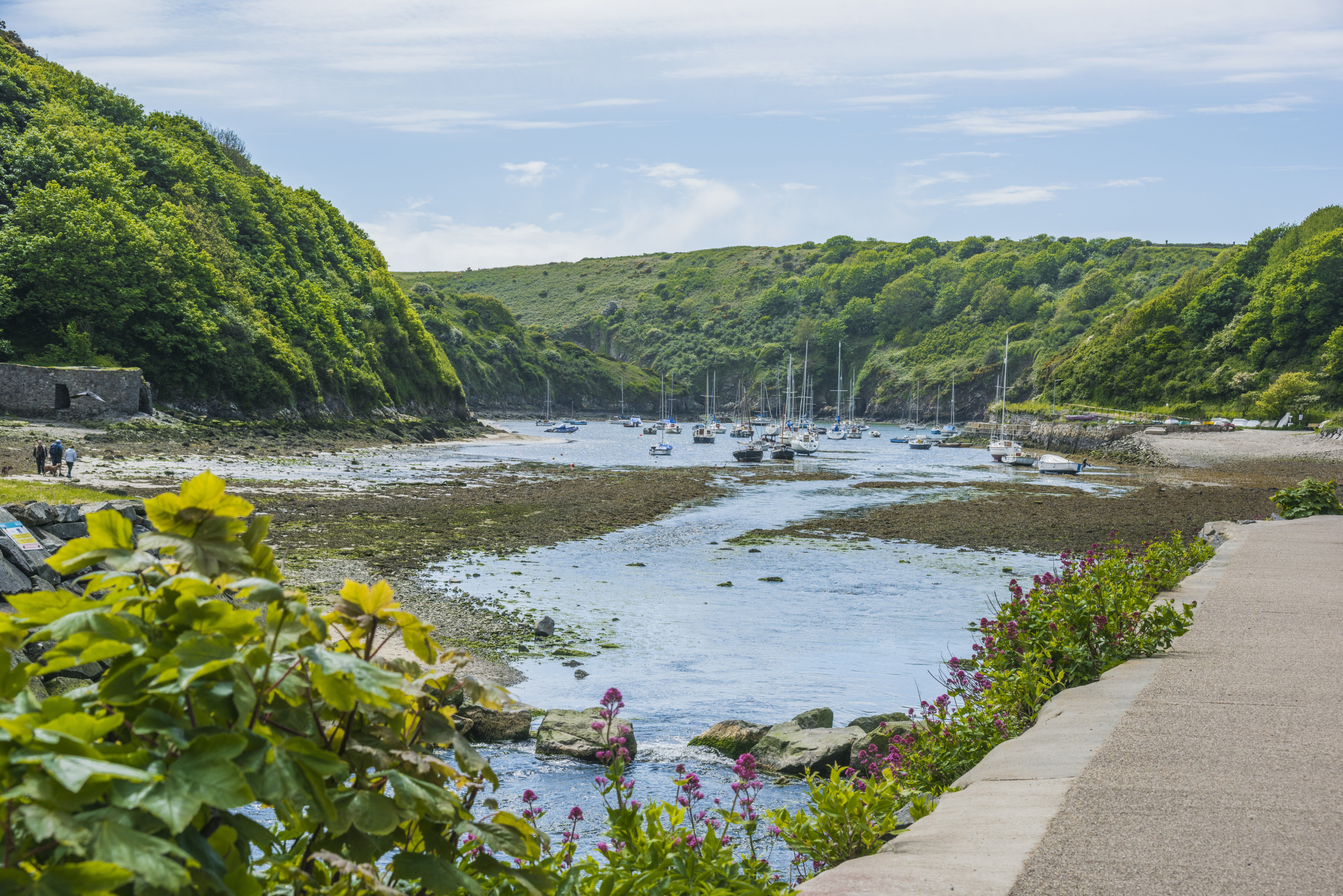 Late availability holiday cottages in Wales