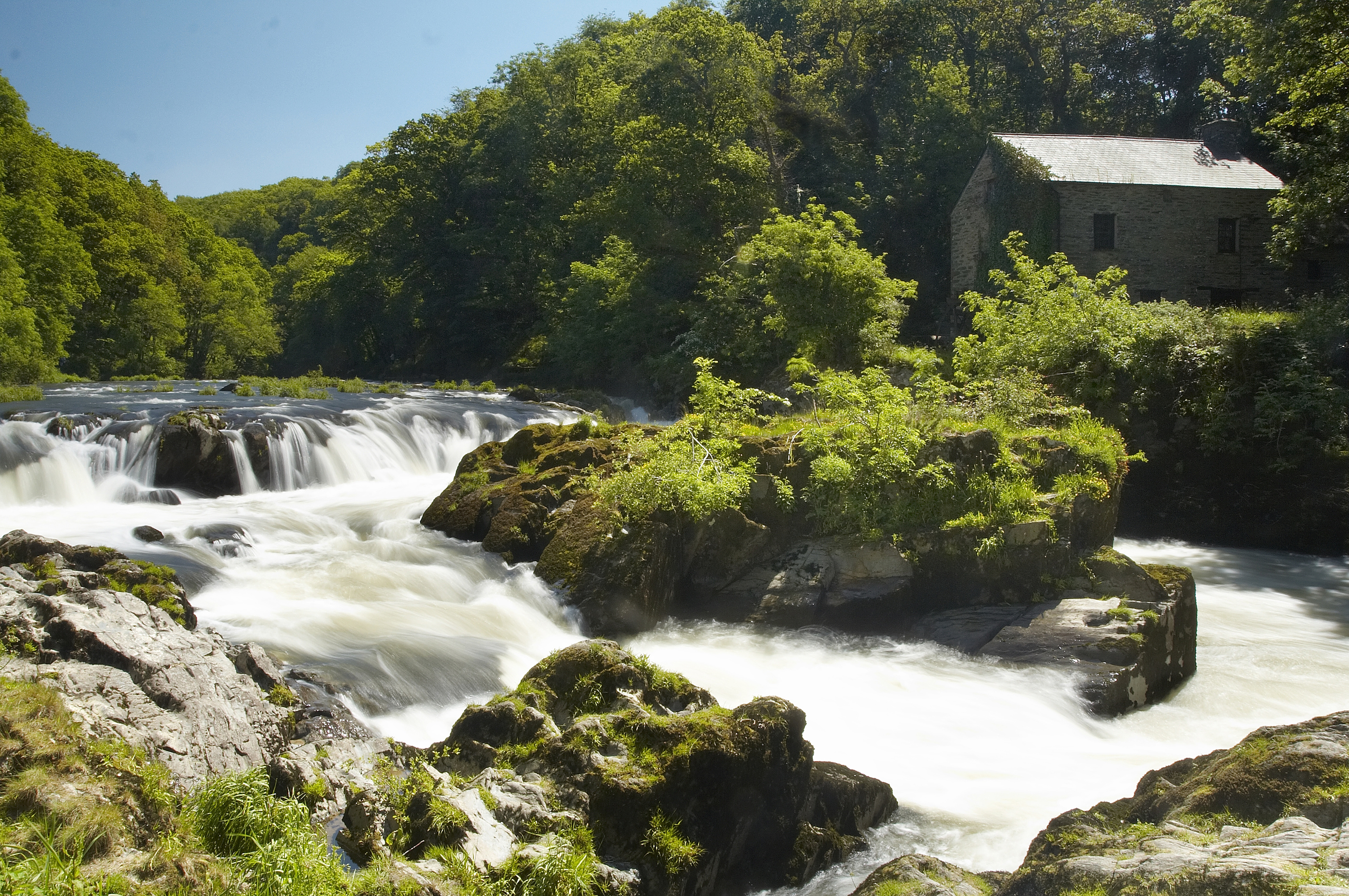 Cenarth Falls