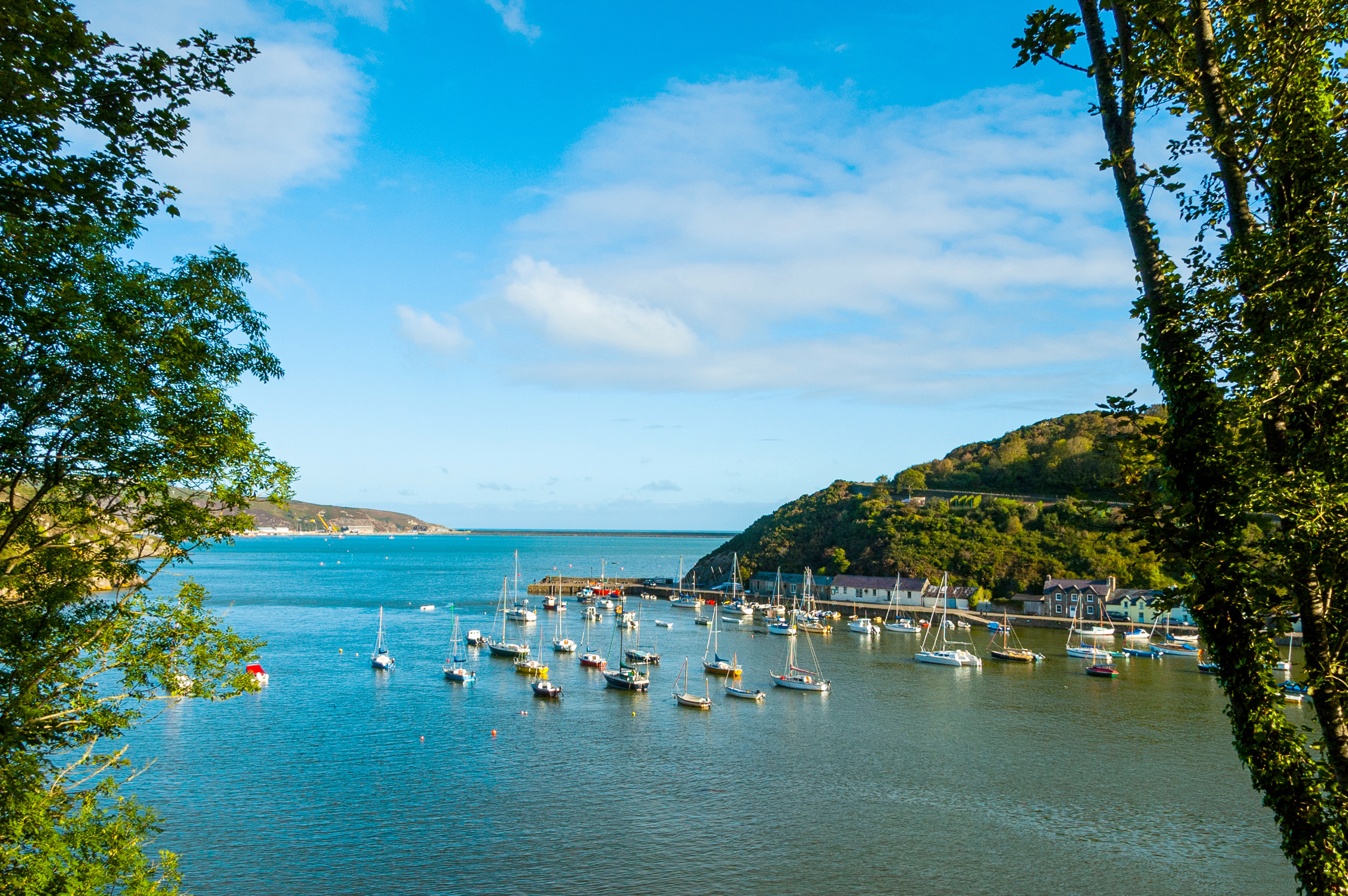Lower Fishguard harbour