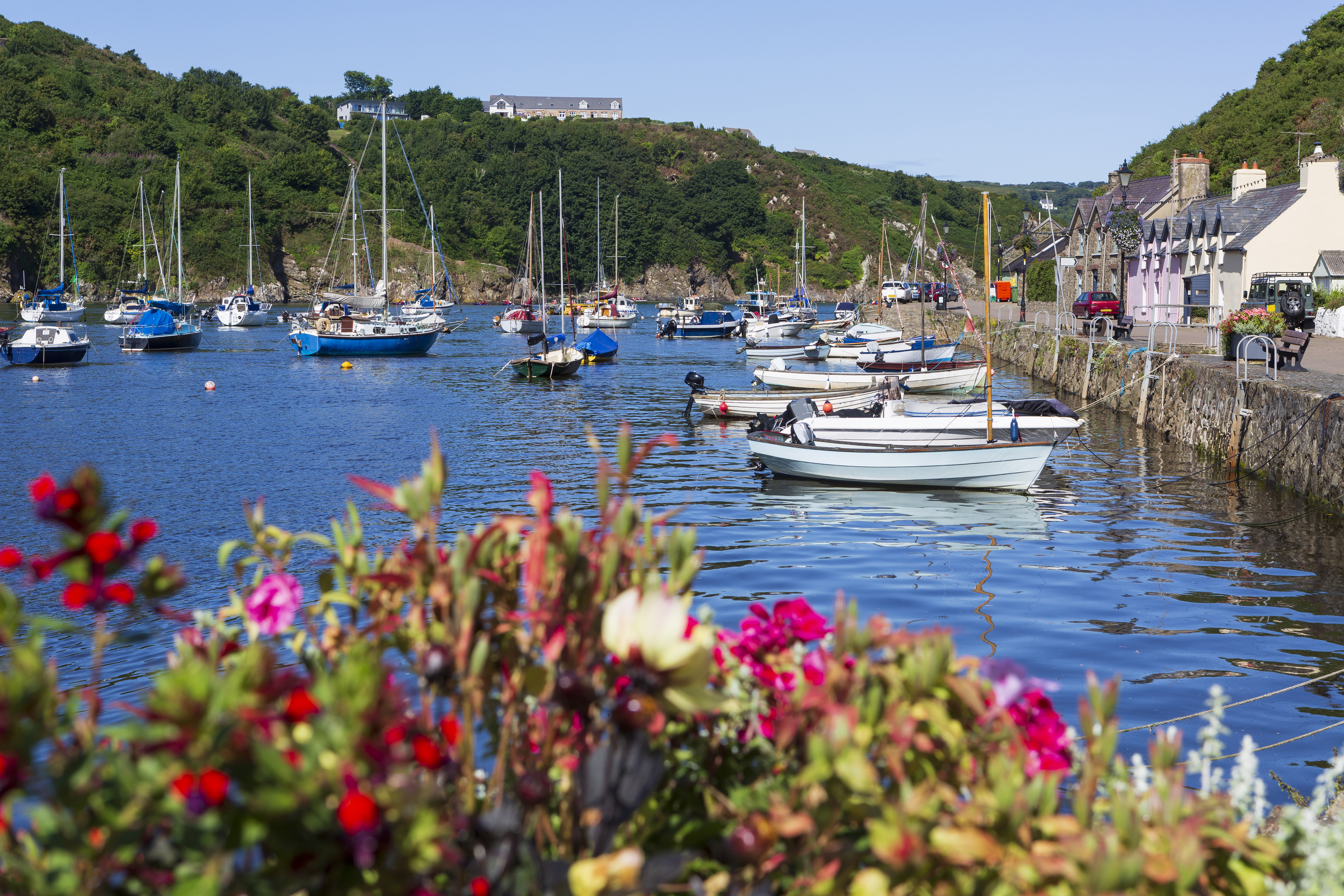 Fishguard & Goodwick Spotlight