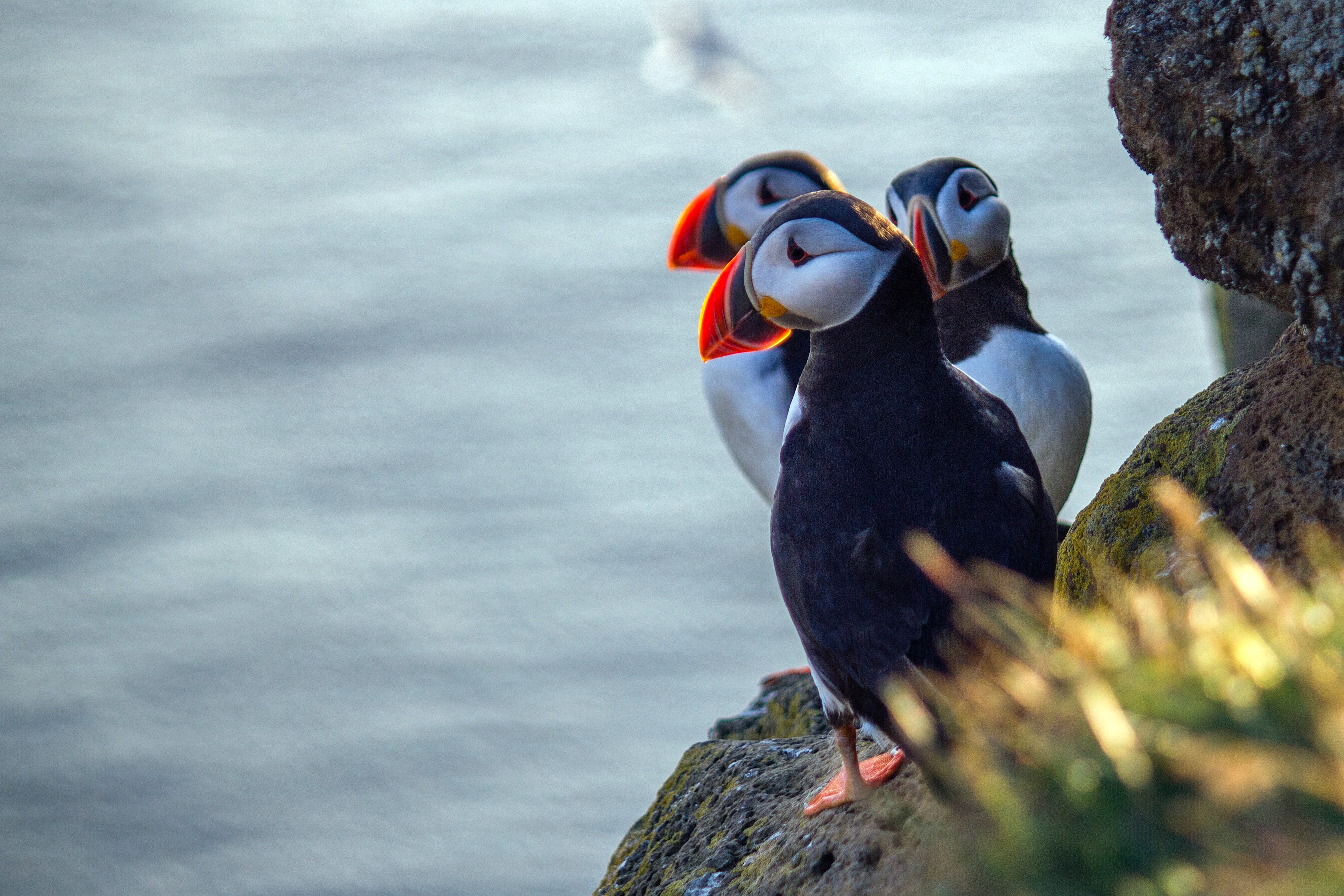 Four Things We Love About Spending Easter Breaks in Wales