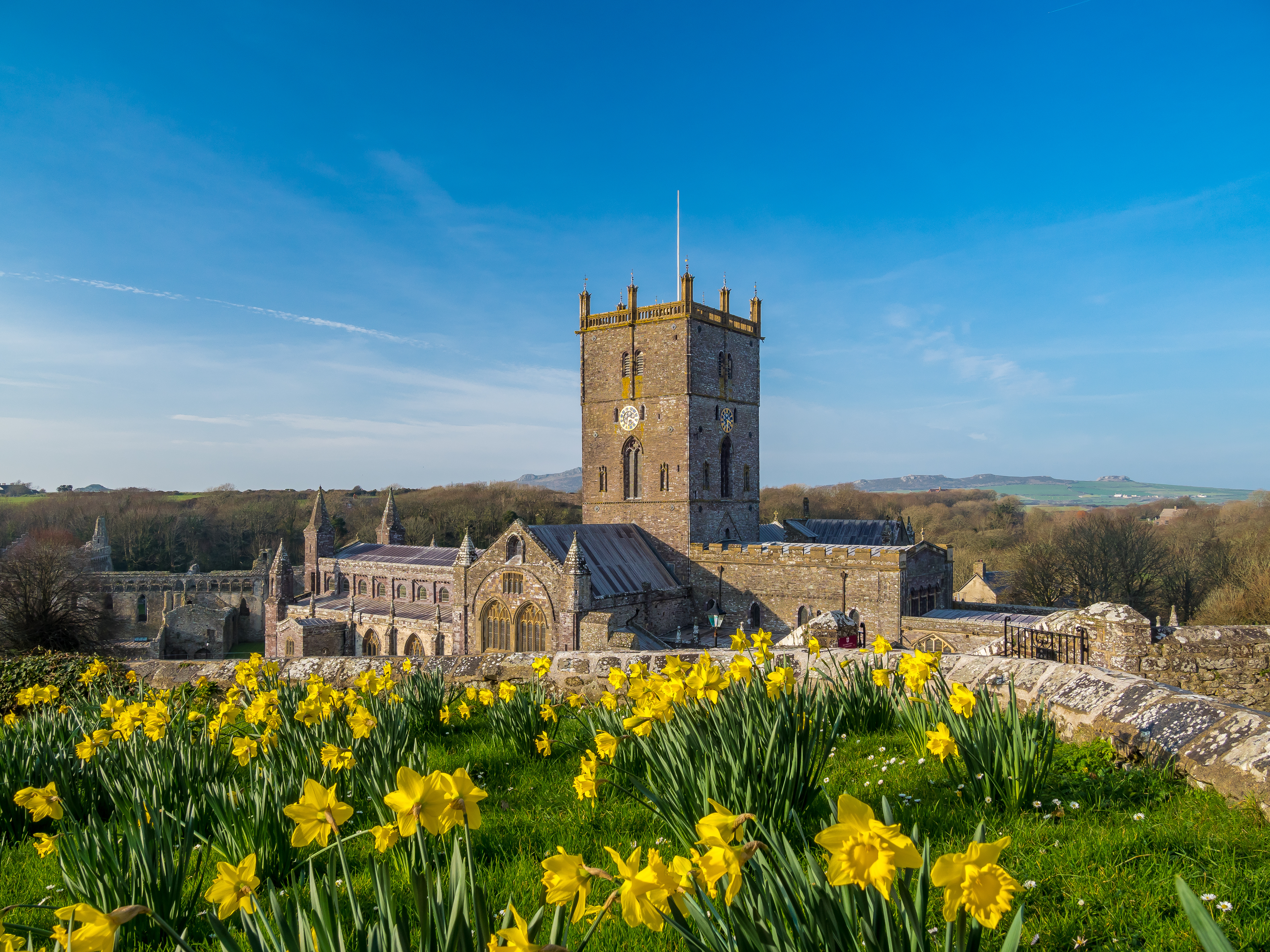 St David's Day in St Davids