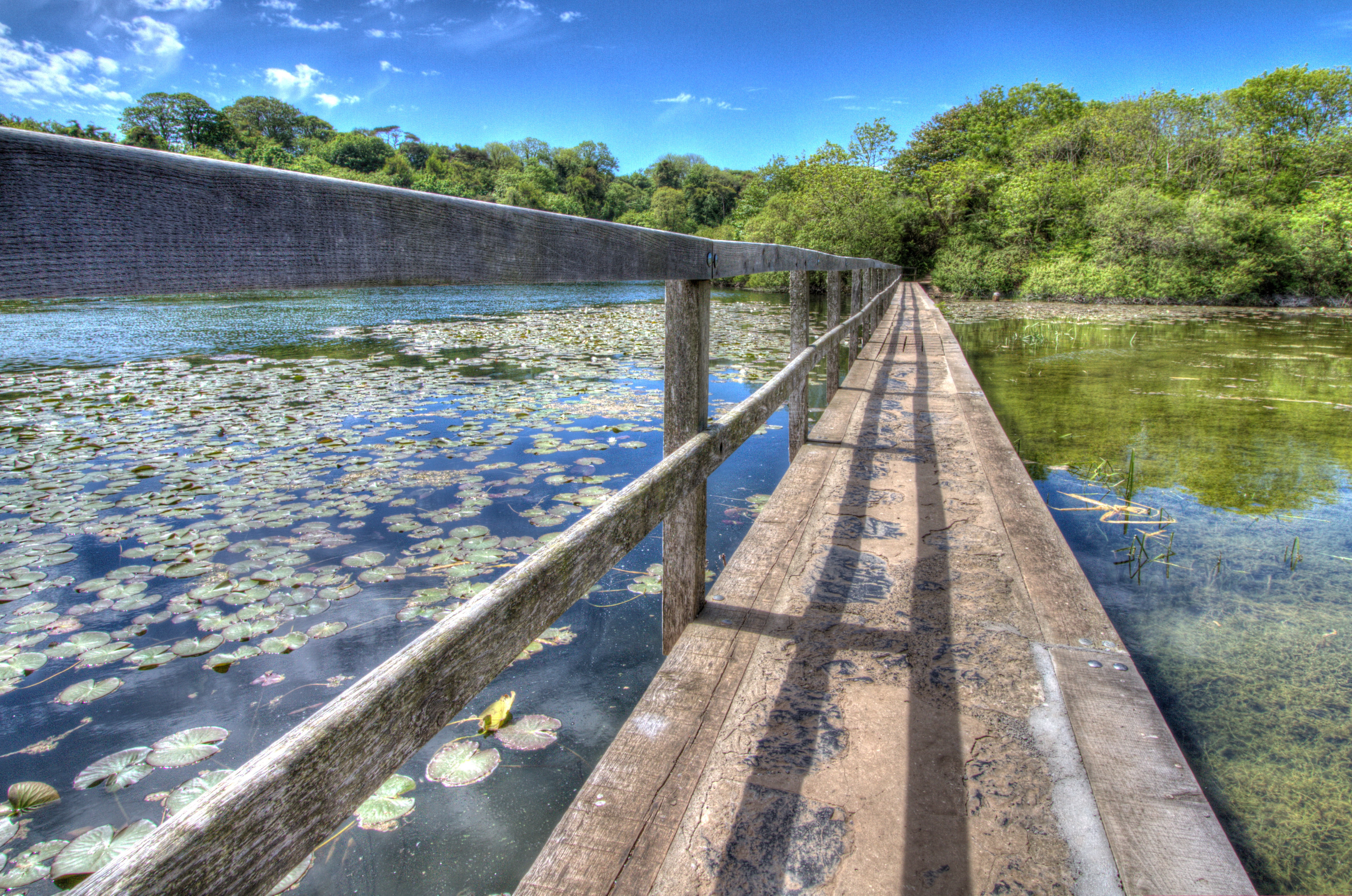 Bosherston Lakes