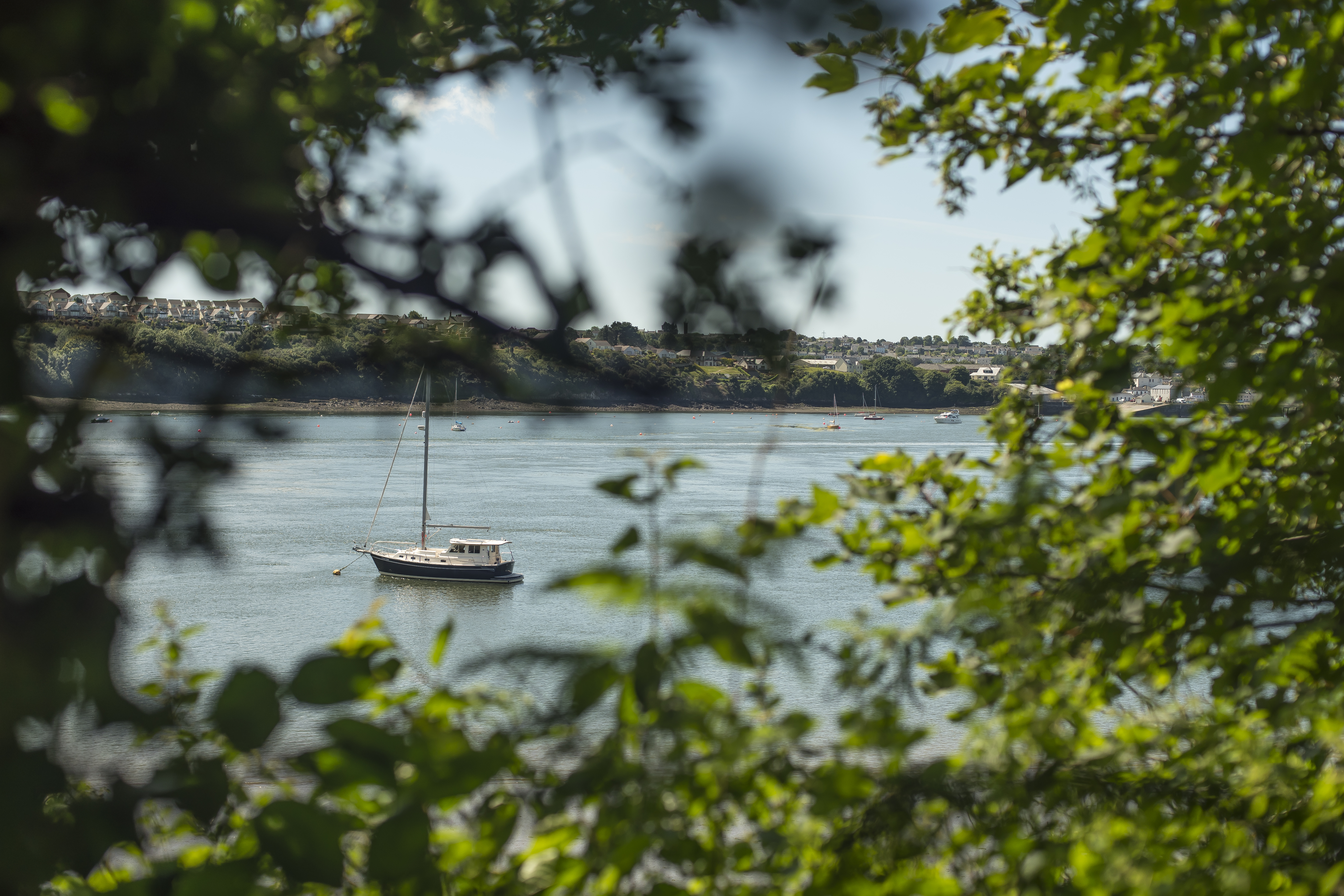 Hide & Seek on Pembrokeshire's Hidden Waterway
