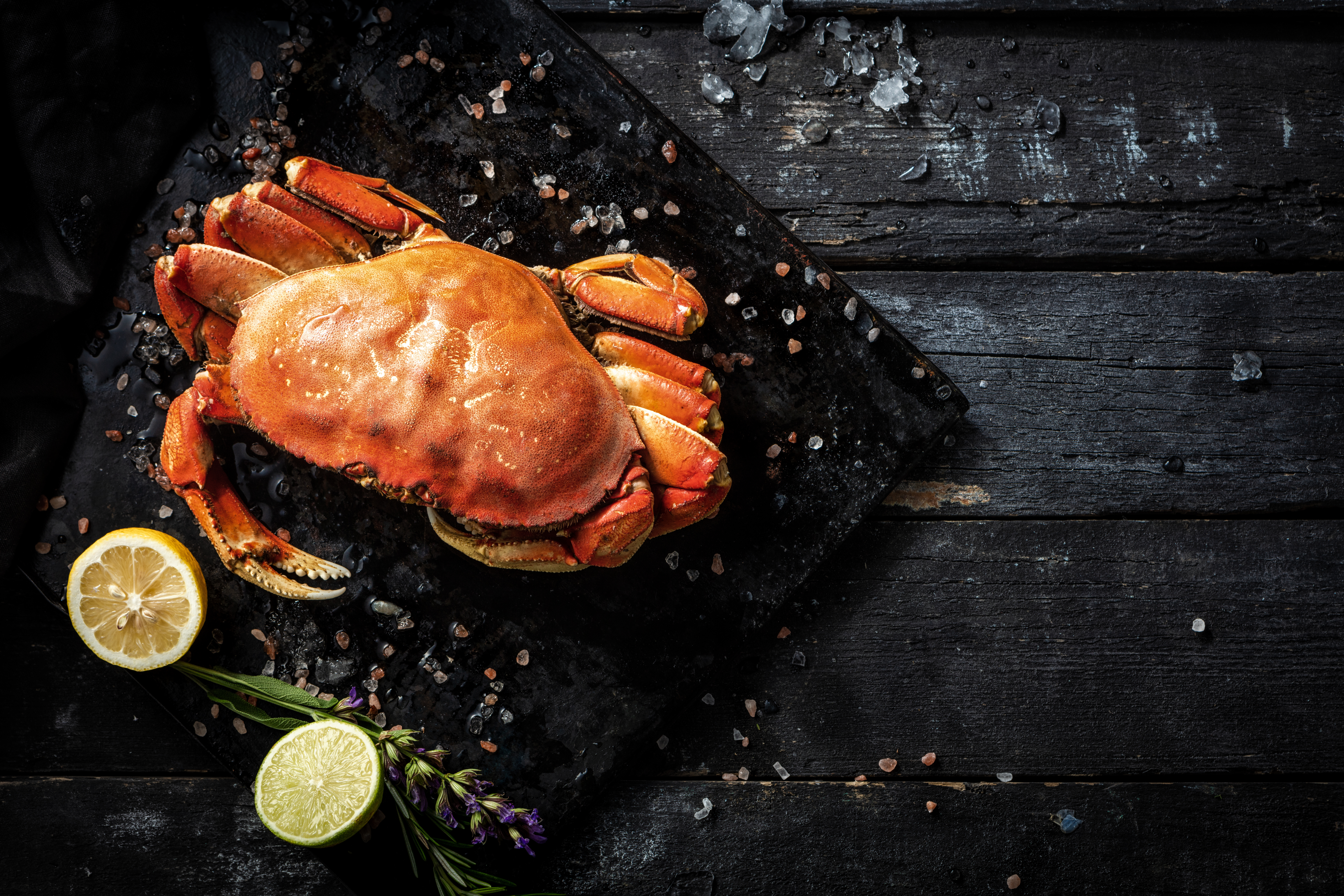 Fresh from the Sea: Pembrokeshire Seafood