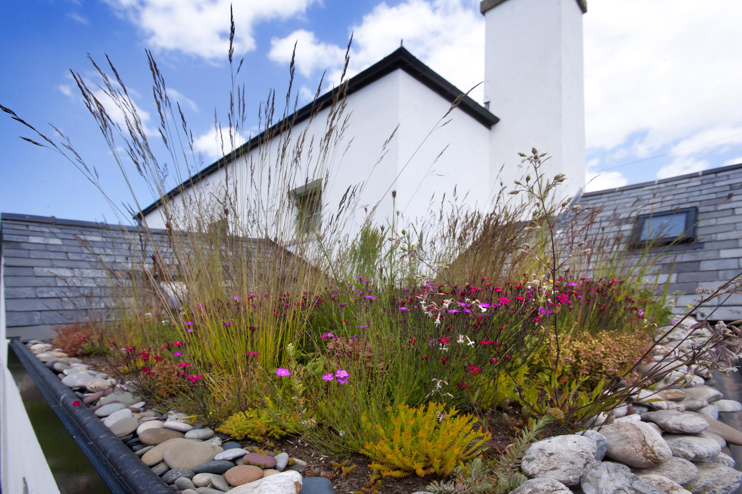 Environmentally Friendly Holidays in Pembrokeshire