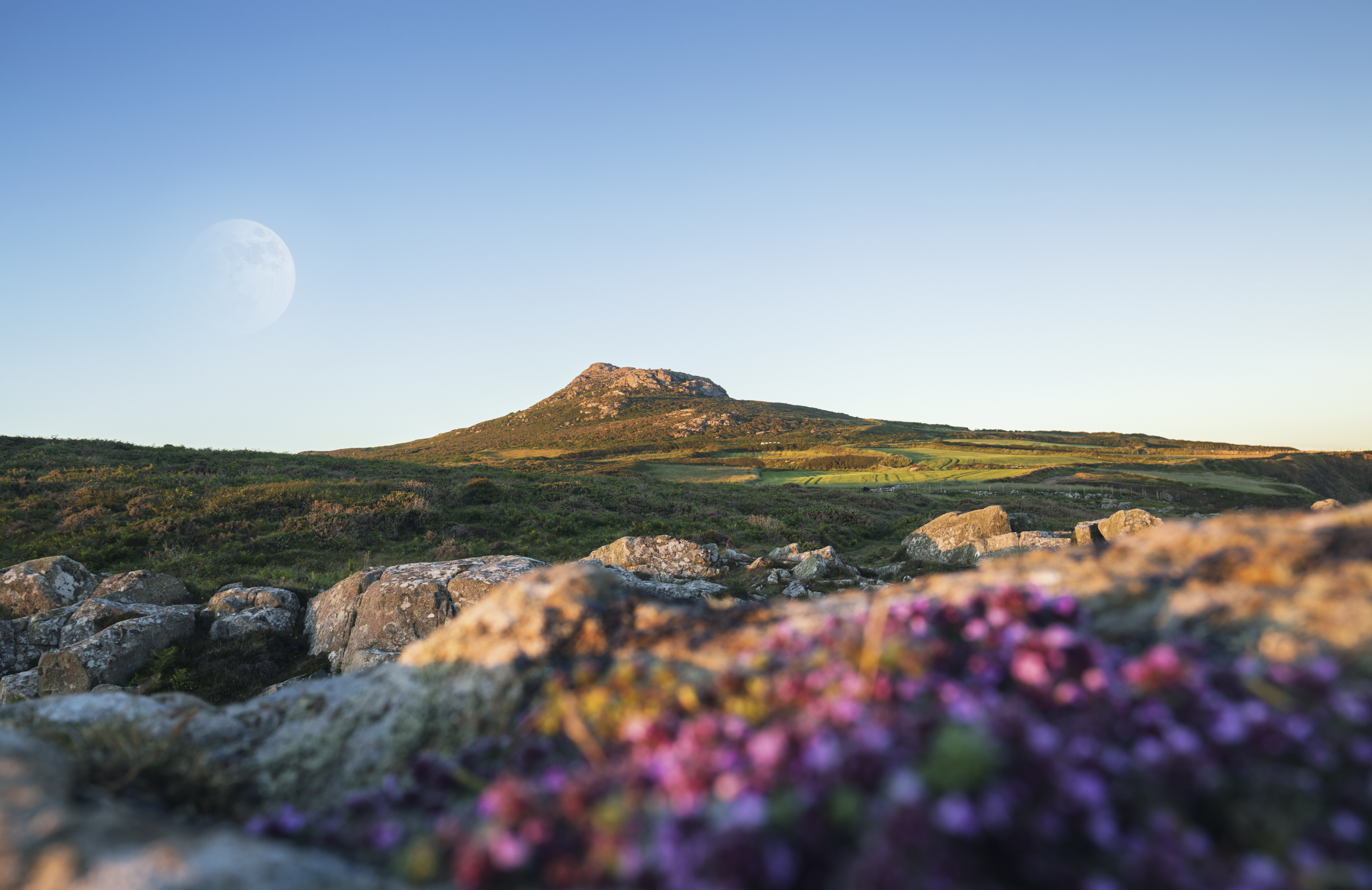 March Cottage Holidays in Wales