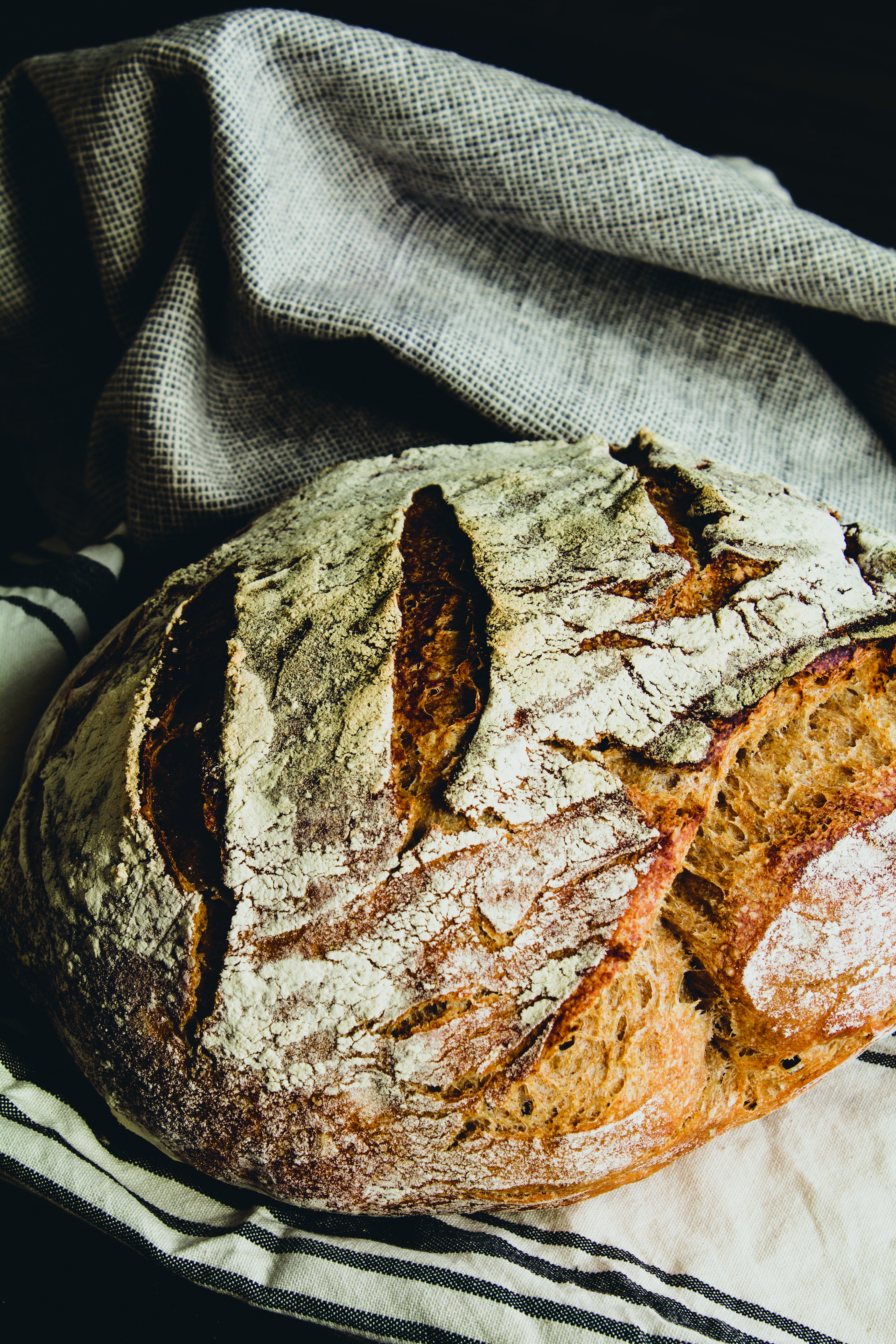Fresh Out of the Oven: Pembrokeshire's Bakeries