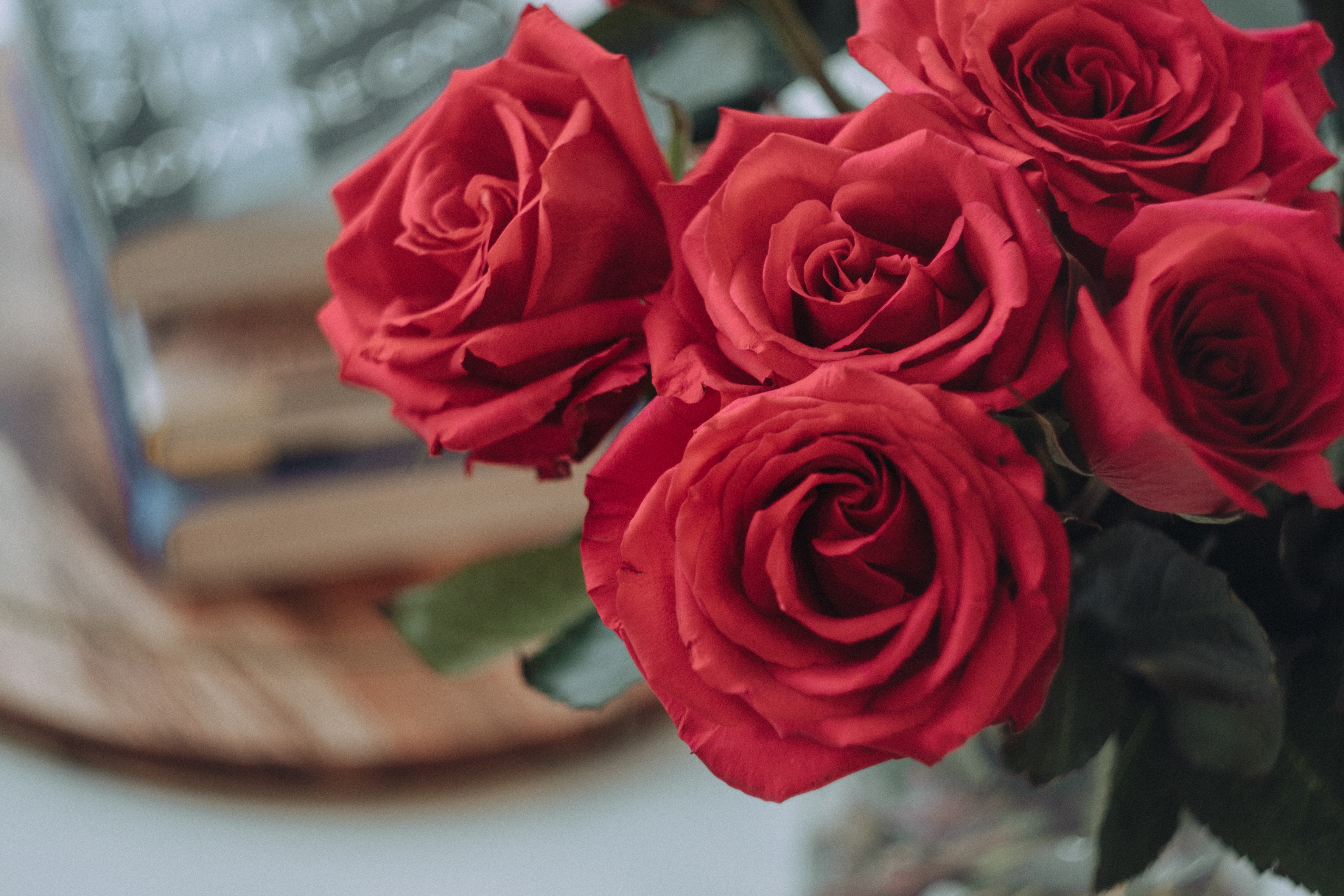 Red Roses