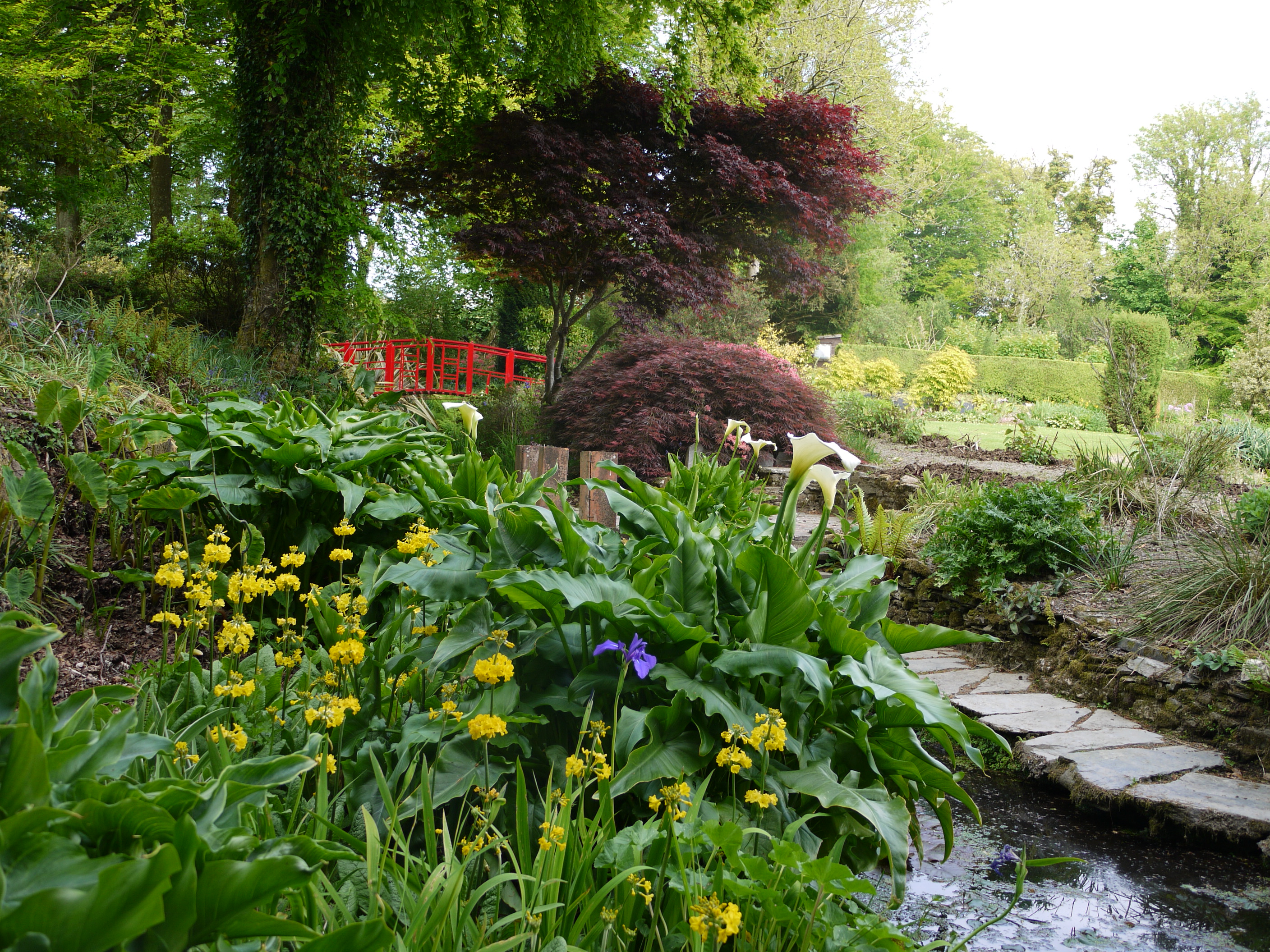 Llwyngarreg Garden