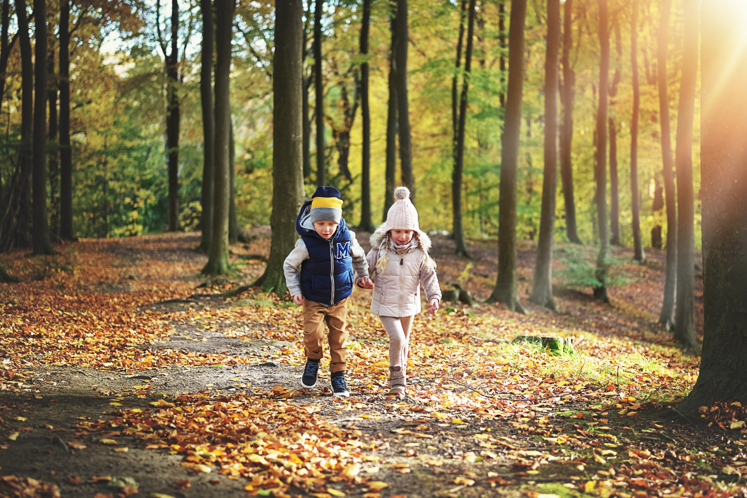 Pembrokeshire October Half Term
