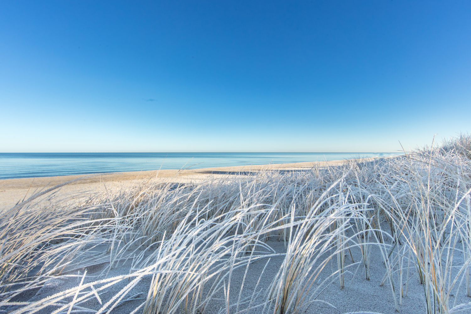 Pembrokeshire in Winter