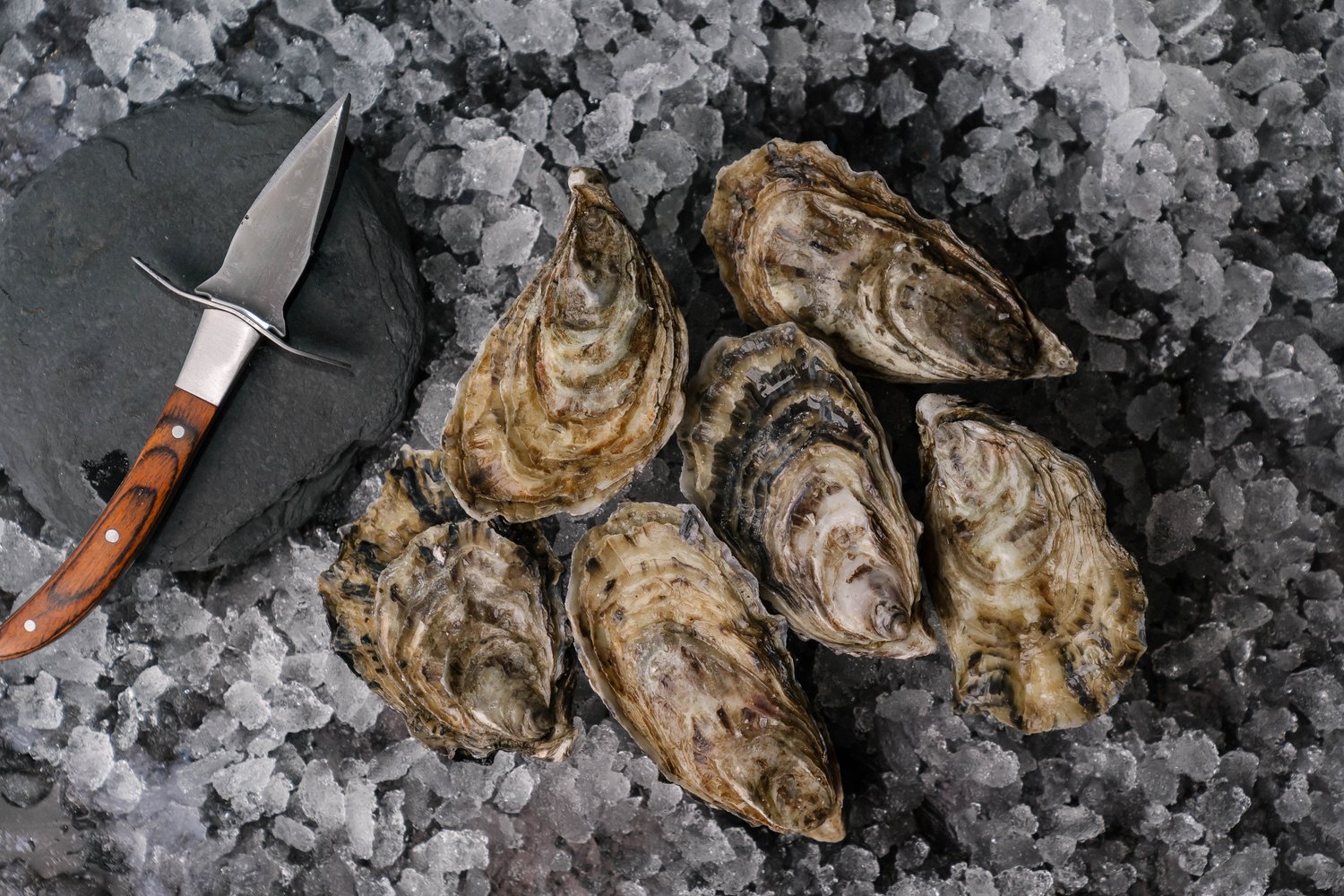 St Davids Peninsula Food Market: Buy Pembrokeshire Local Produce