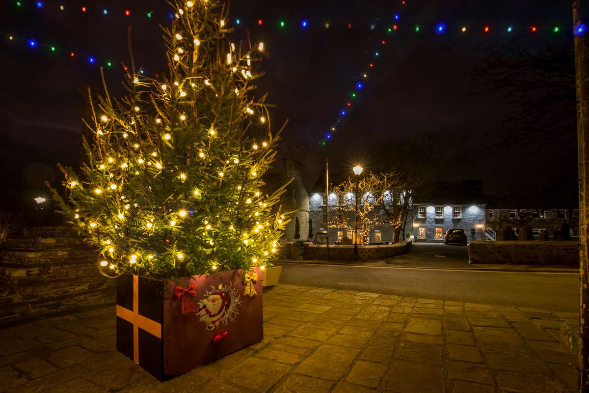 St Davids Christmas Tree